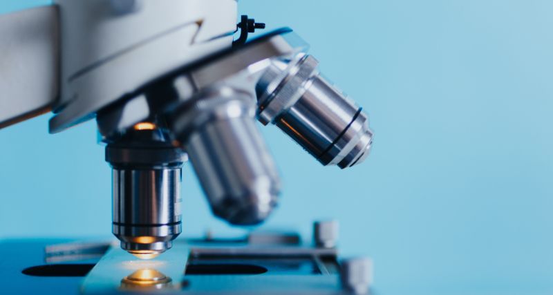 biotecnología molecular