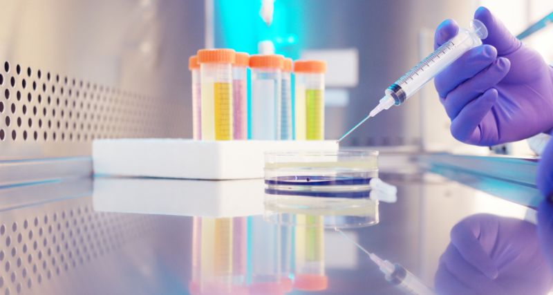 biotecnologia y biología molecular