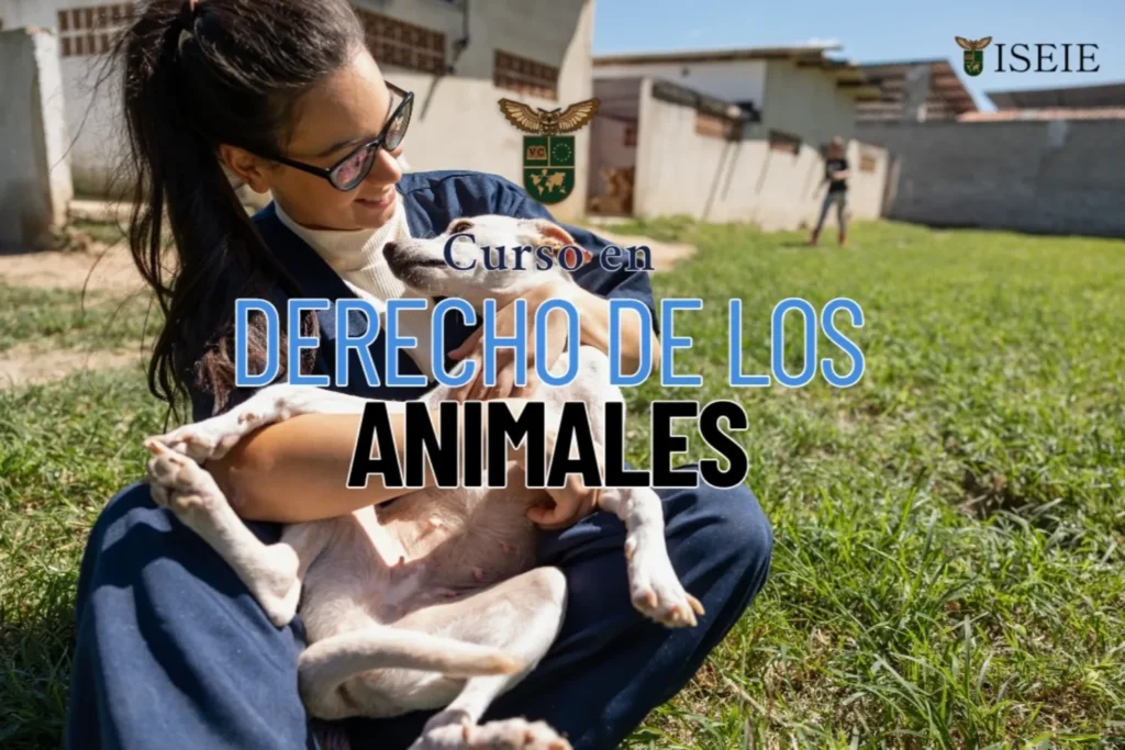 Curso en Derecho de los Animales 1