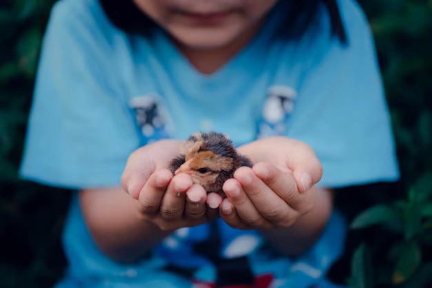 Curso en Derecho de los Animales (3)