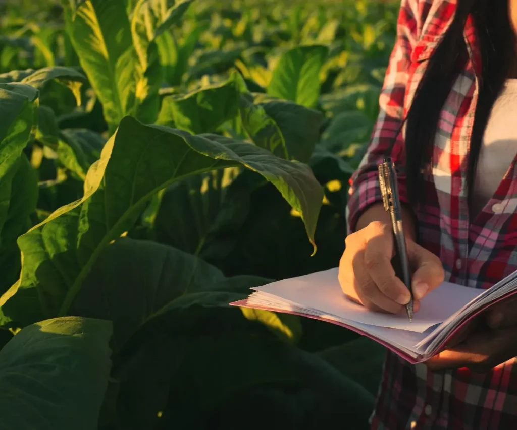 Curso en Derecho de la Agricultura y Alimentos