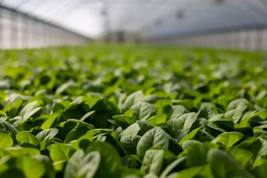 Curso en Derecho de la Agricultura y Alimentos 2