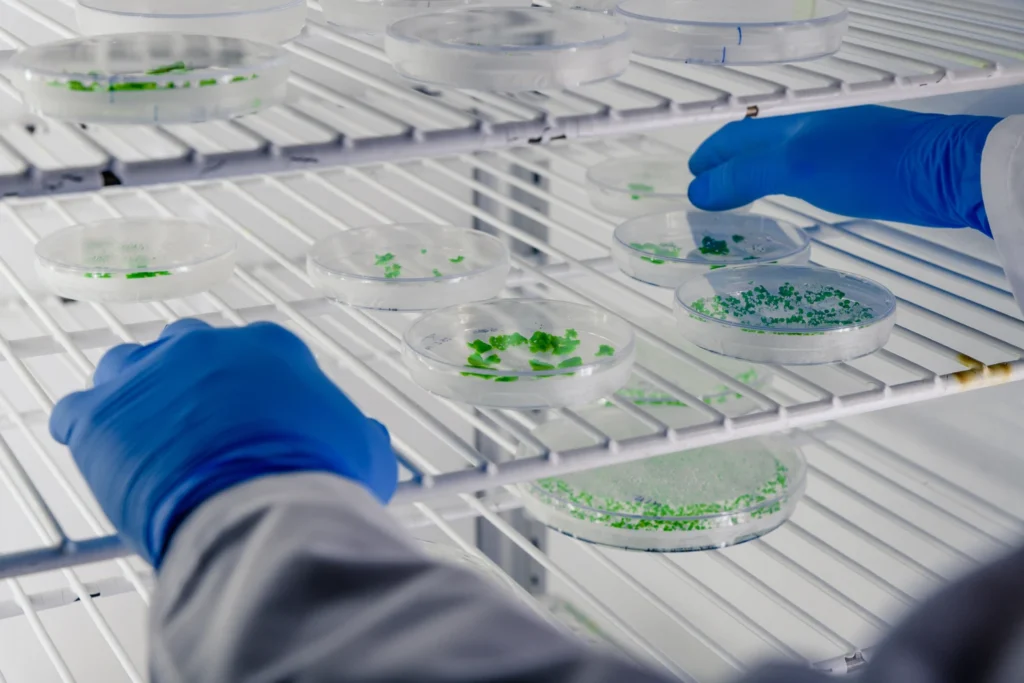 Curso-de-Analisis-e-Identificacion-de-Microplasticos-en-Laboratorio-3