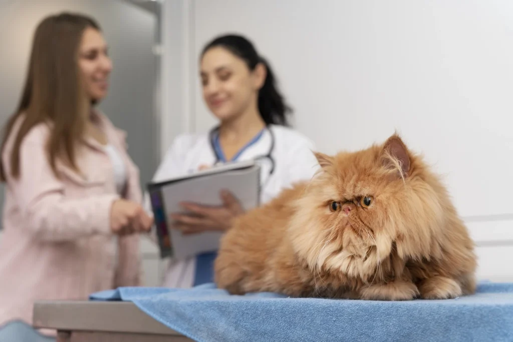 Curso sobre Programas de Adelgazamiento Basados en Evidencia (Perros y Gatos) 1