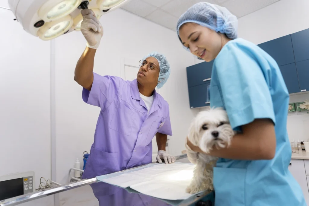 Diplomado en Atención Crítica Veterinaria Aplicada 3