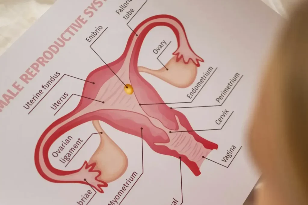 Diplomado en Ginecología Clínica 1