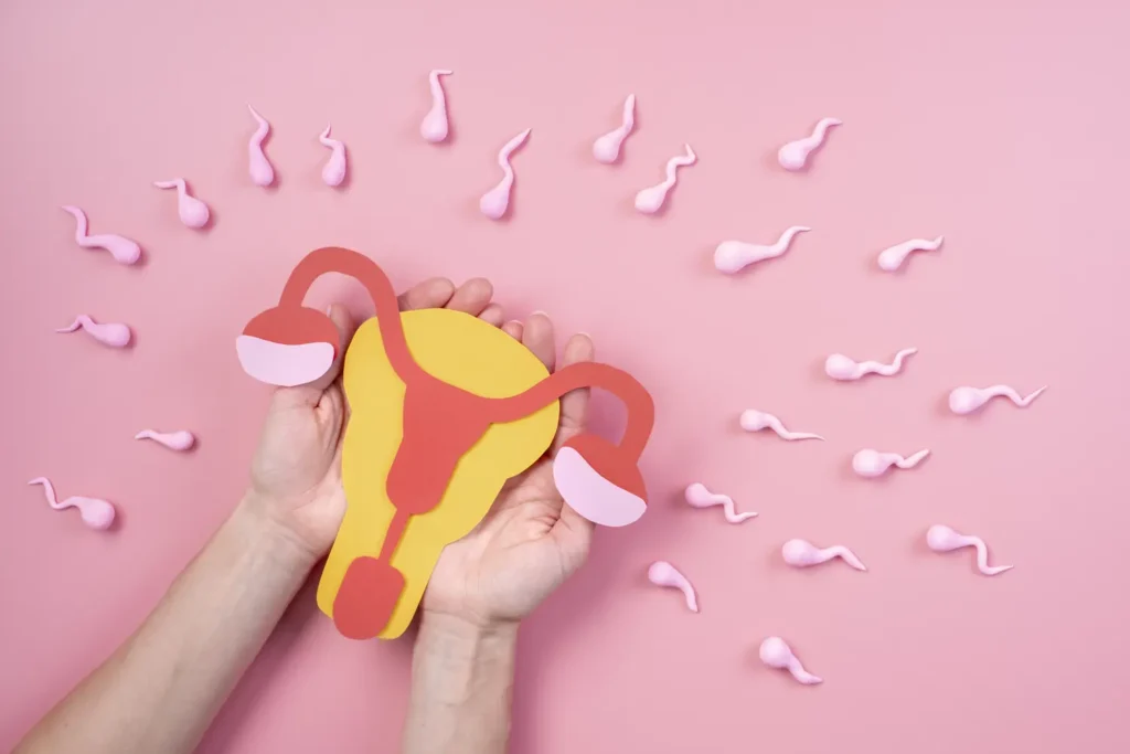 Diplomado-en-Salud-Hormonal-Femenina-y-Fertilidad-3