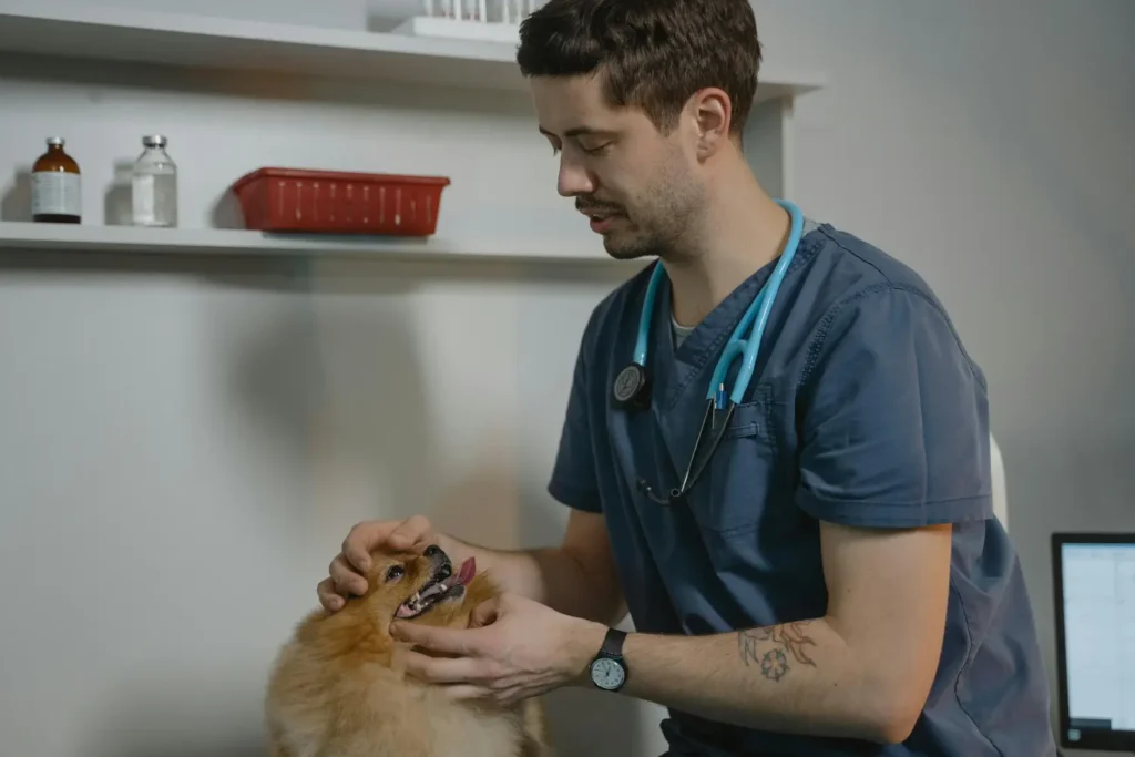 Nutrición Clínica y Gestión de Peso en Pequeños Animales 1