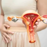 ciclo Menstrual y Endocrinología Reproductiva 2